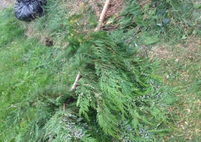 ks company facebook gallery 16