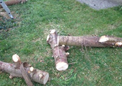 ks company facebook gallery 18