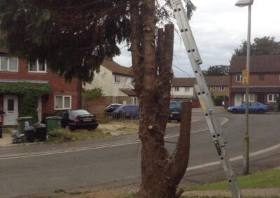 ks company facebook gallery 19