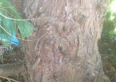 ks company facebook gallery 22