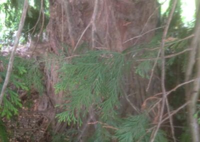 ks company facebook gallery 23