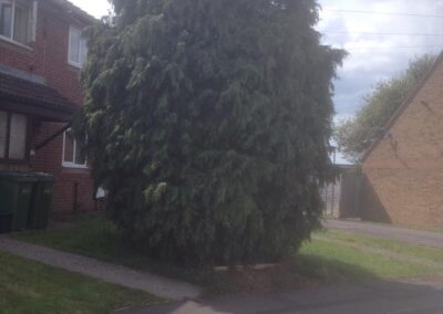 ks company facebook gallery 24