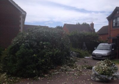 ks company facebook gallery 3