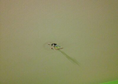 ks company facebook gallery 37