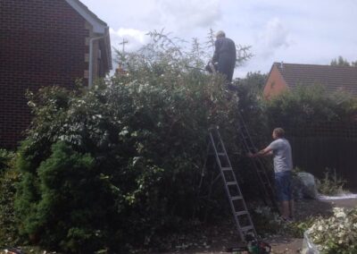 ks company facebook gallery 8